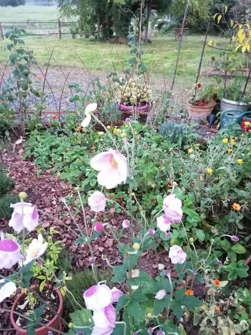 Les Hortensias La Souris Des Champs Étival-Clairefontaine Zewnętrze zdjęcie