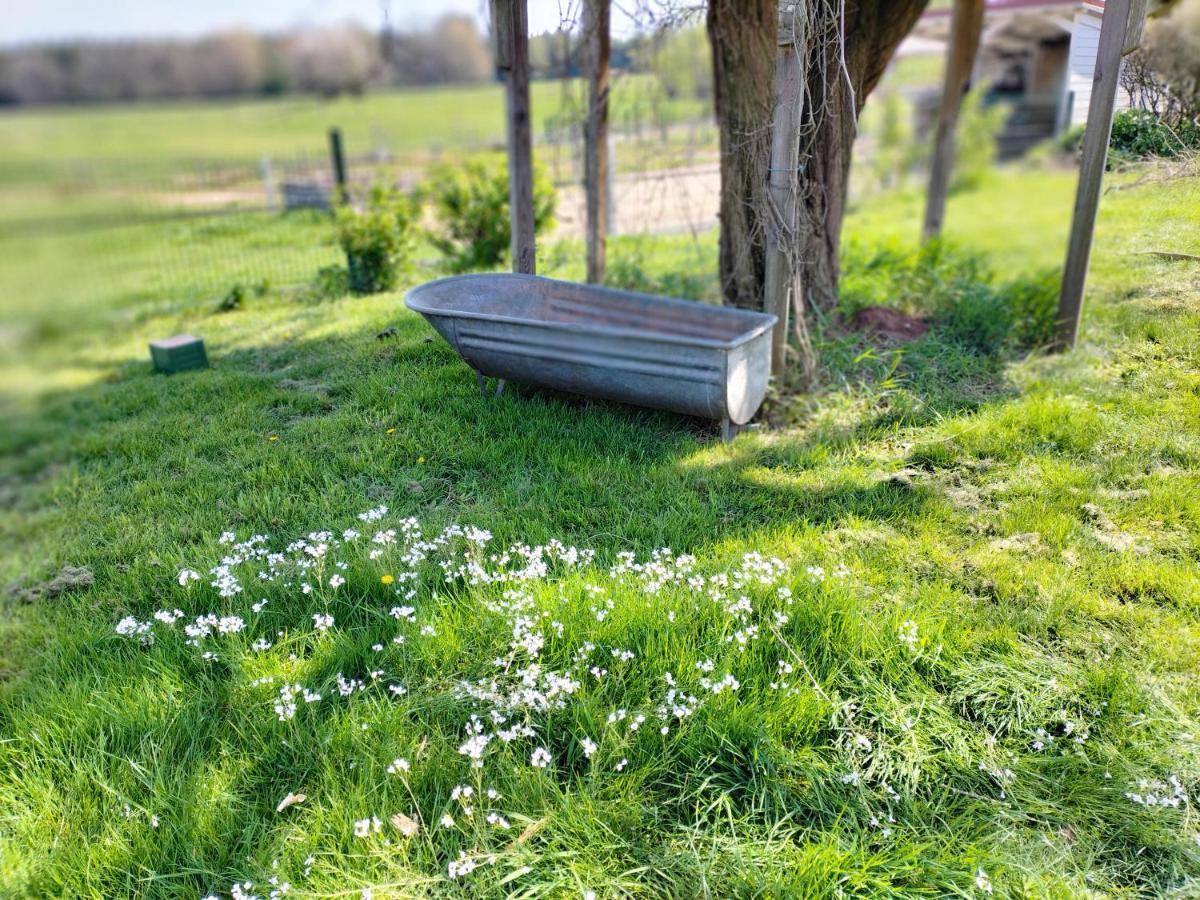 Les Hortensias La Souris Des Champs Étival-Clairefontaine Zewnętrze zdjęcie