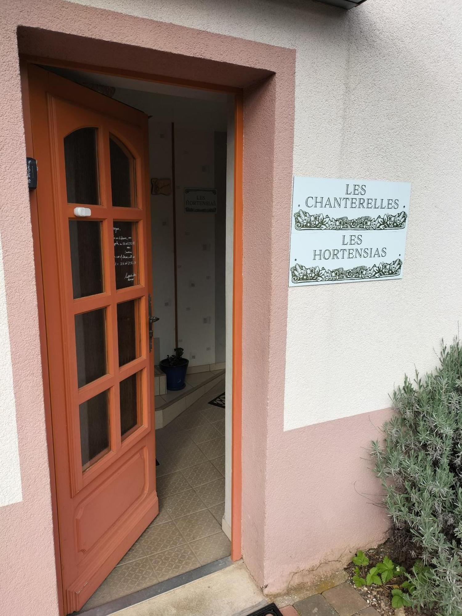 Les Hortensias La Souris Des Champs Étival-Clairefontaine Zewnętrze zdjęcie