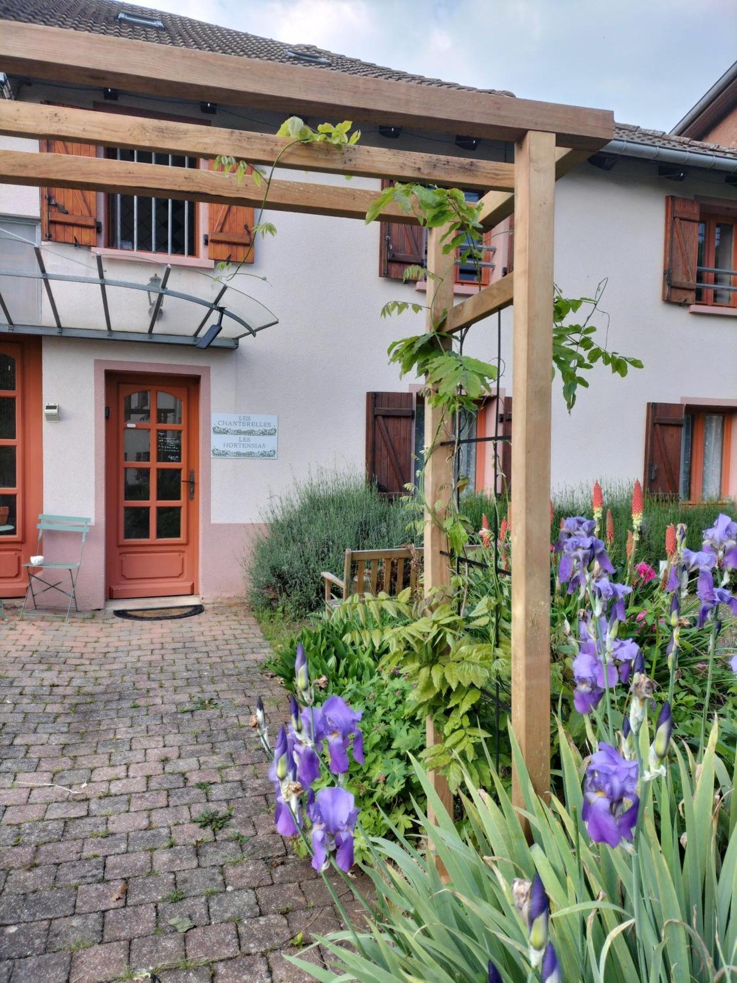 Les Hortensias La Souris Des Champs Étival-Clairefontaine Zewnętrze zdjęcie
